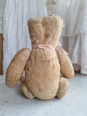 画像14: フレンチテディベア