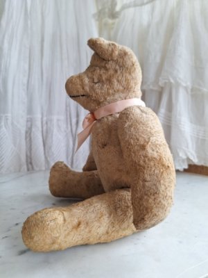 画像15: フレンチテディベア