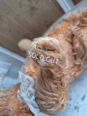 画像19: アンティークモヘアテディベア