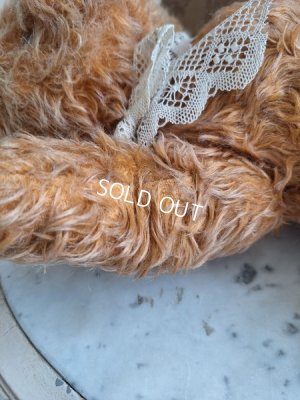 画像20: アンティークモヘアテディベア