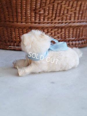 画像11: バスケット付猫