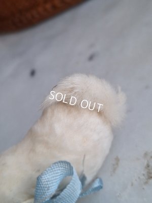 画像9: バスケット付猫