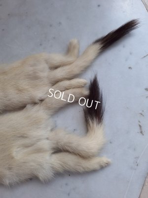 画像7: フォックスマフラー