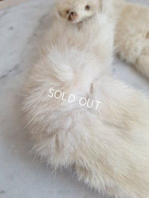 画像9: フォックスマフラー