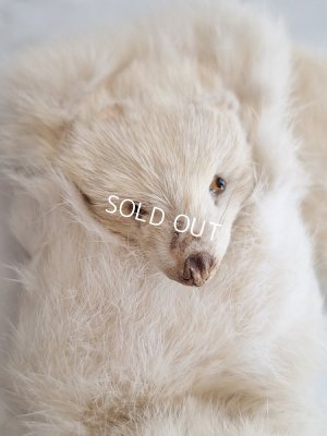 画像3: フォックスマフラー