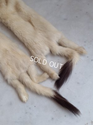 画像14: フォックスマフラー