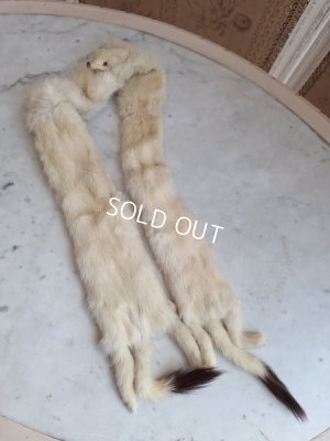 画像6: フォックスマフラー