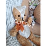 画像: フレンチテディベア