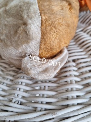 画像8: フレンチテディベア