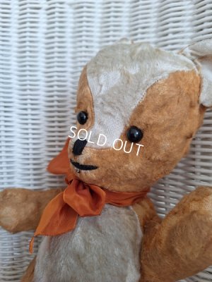 画像5: フレンチテディベア