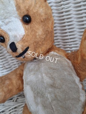 画像18: フレンチテディベア