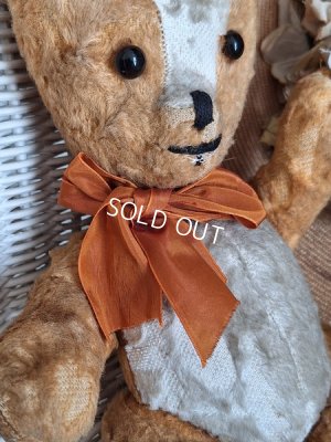 画像7: フレンチテディベア