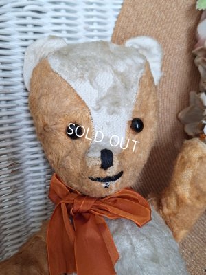 画像2: フレンチテディベア