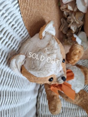 画像9: フレンチテディベア