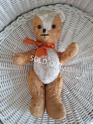 画像12: フレンチテディベア