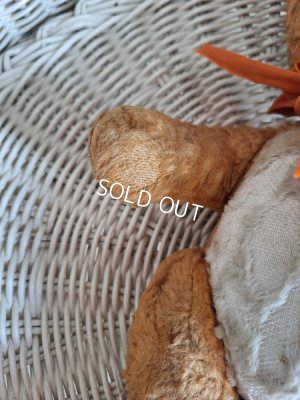 画像13: フレンチテディベア