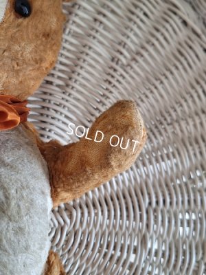 画像14: フレンチテディベア