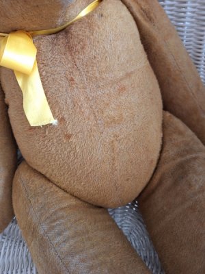 画像12: フレンチテディベア