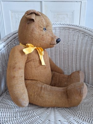 画像10: フレンチテディベア