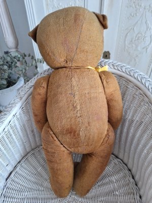 画像8: フレンチテディベア