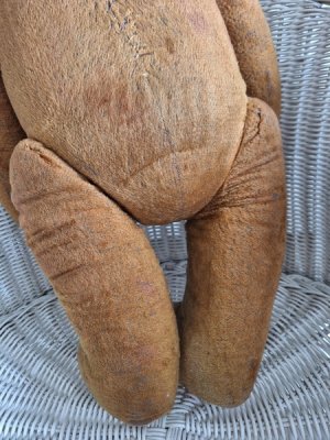 画像20: フレンチテディベア