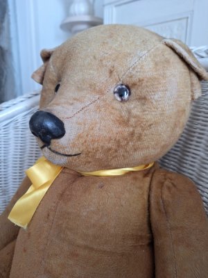 画像3: フレンチテディベア