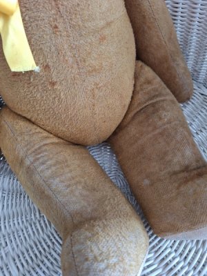 画像23: フレンチテディベア