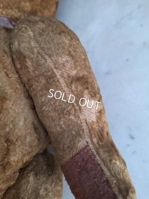 画像18: JPMテディベア