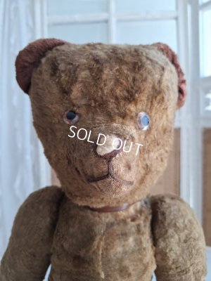 画像3: JPMテディベア