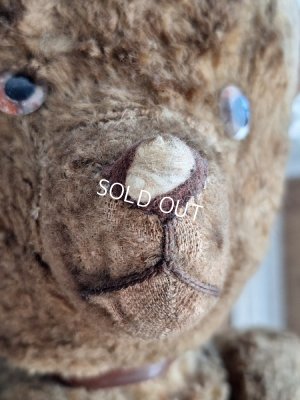 画像19: JPMテディベア