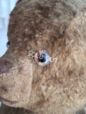 画像5: JPMテディベア