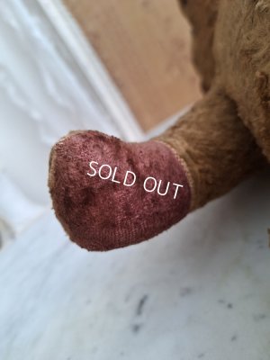 画像10: JPMテディベア