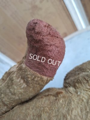 画像9: JPMテディベア