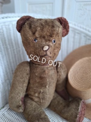 画像20: JPMテディベア