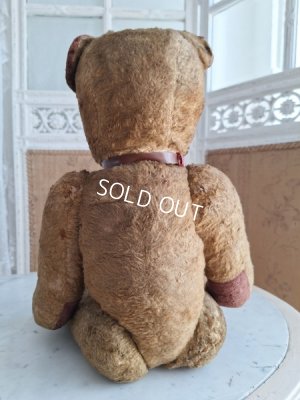 画像13: JPMテディベア