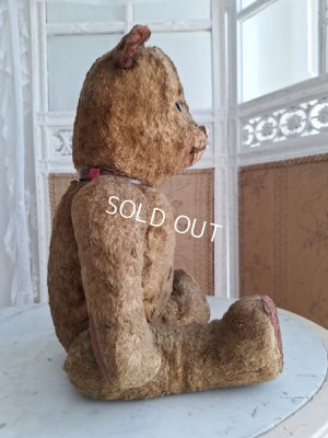 画像14: JPMテディベア