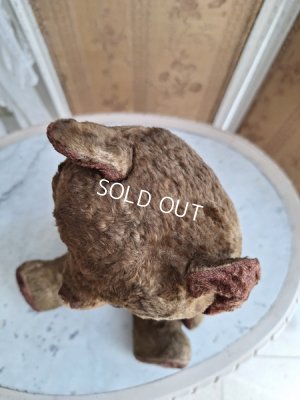 画像15: JPMテディベア