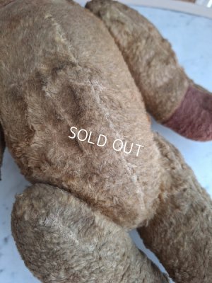 画像16: JPMテディベア