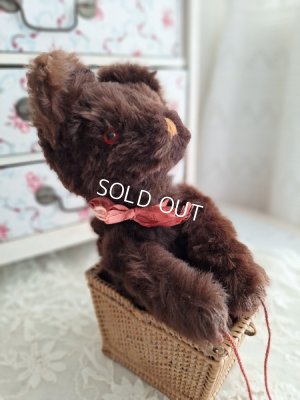 jpmteddybear