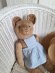 teddybear