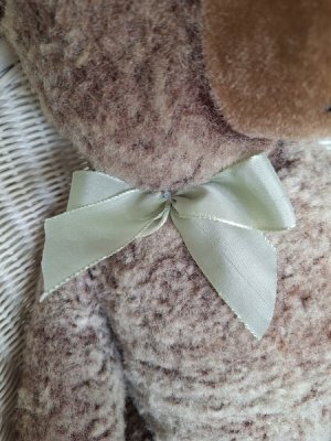 画像12: アンティークテディベア