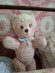 pinkteddybear