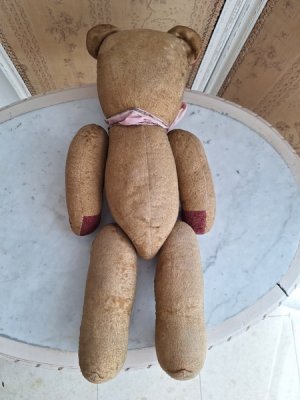 画像18: フレンチテディベア