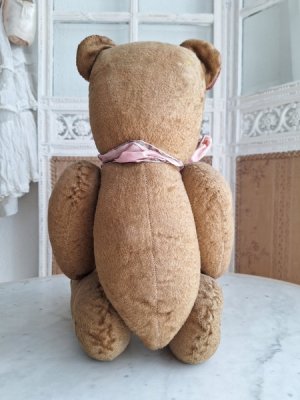 画像15: フレンチテディベア