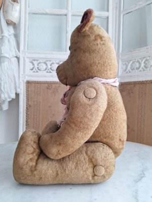 画像16: フレンチテディベア