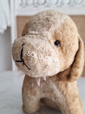 画像6: フランスのワンちゃん