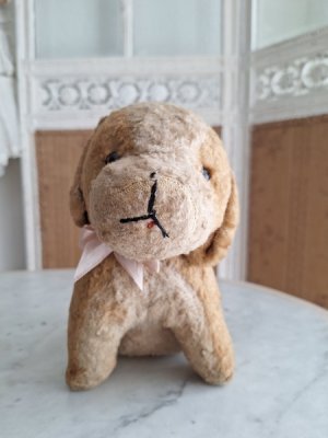 画像9: フランスのワンちゃん