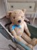 frenchteddybear