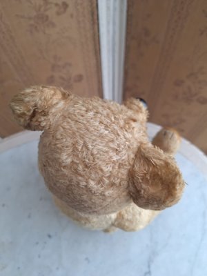 画像8: フレンチテディベア