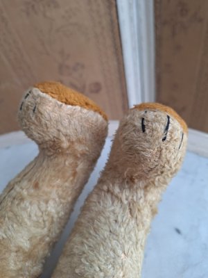 画像15: フレンチテディベア